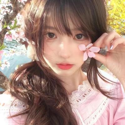 完美的独裁国家